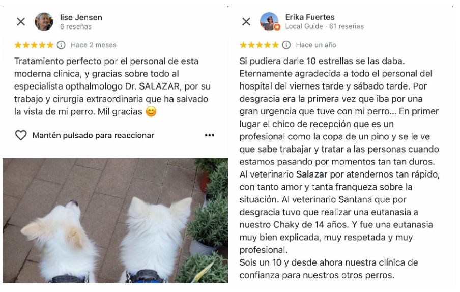 Operacion Cataratas Perro Barcelona