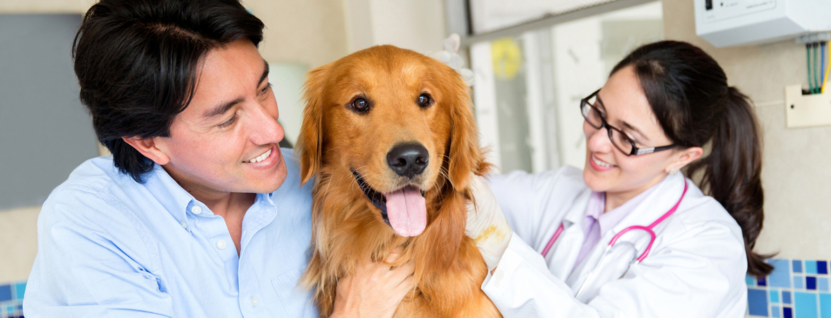 Veterinari Barcelona